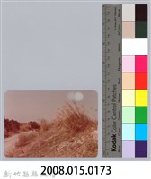 林保仁縣長主政照片：新竹縣芎林堤防防汛搶救演習-60藏品圖，第3張