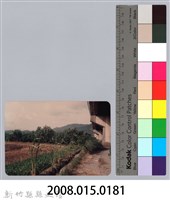 林保仁縣長主政照片：新竹縣七十一年度高莖作物砍成果-5藏品圖，第3張