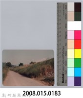 林保仁縣長主政照片：新竹縣七十一年度高莖作物砍成果-7藏品圖，第3張