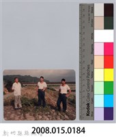 林保仁縣長主政照片：新竹縣七十一年度高莖作物砍成果-8藏品圖，第3張