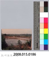 林保仁縣長主政照片：新竹縣七十一年度高莖作物砍成果-10藏品圖，第3張