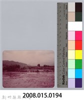 林保仁縣長主政照片：新竹縣七十一年度高莖作物砍成果-18藏品圖，第3張