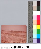 林保仁縣長主政照片：新竹縣七十一年度高莖作物砍成果-30藏品圖，第3張