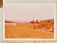 林保仁縣長主政照片：縣長林保仁視察-37藏品圖，第1張