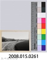 林保仁縣長主政照片：縣長林保仁視察-54藏品圖，第3張