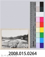 林保仁縣長主政照片：縣長林保仁視察-57藏品圖，第3張