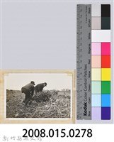 林保仁縣長主政照片：縣長林保仁視察-71藏品圖，第3張