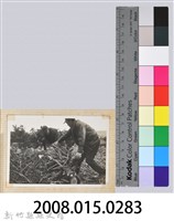 林保仁縣長主政照片：縣長林保仁視察-76藏品圖，第3張