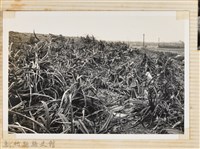 林保仁縣長主政照片：縣長林保仁視察-85藏品圖，第1張