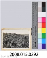 林保仁縣長主政照片：縣長林保仁視察-85藏品圖，第3張