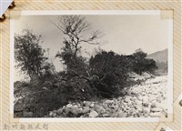 林保仁縣長主政照片：縣長林保仁視察-96藏品圖，第1張