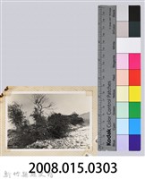 林保仁縣長主政照片：縣長林保仁視察-96藏品圖，第3張