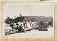 林保仁縣長主政照片：縣長林保仁視察-97藏品圖，第1張