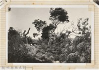 林保仁縣長主政照片：縣長林保仁視察-99藏品圖，第1張