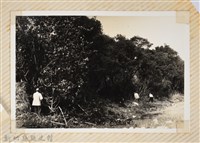 林保仁縣長主政照片：縣長林保仁視察-100藏品圖，第1張