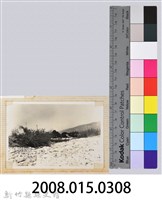 林保仁縣長主政照片：縣長林保仁視察-101藏品圖，第3張