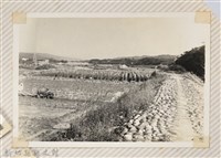 林保仁縣長主政照片：縣長林保仁視察-106藏品圖，第1張