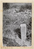 林保仁縣長主政照片：縣長林保仁視察-111藏品圖，第1張