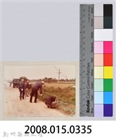 林保仁縣長主政照片：縣長林保仁視察-128藏品圖，第3張