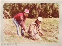 林保仁縣長主政照片：縣長林保仁視察-139藏品圖，第1張