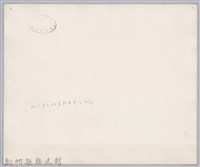 林保仁縣長主政照片：聯合婚禮-3藏品圖，第2張