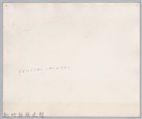 林保仁縣長主政照片：聯合婚禮-5藏品圖，第2張