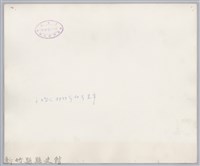 林保仁縣長主政照片：聯合婚禮-9藏品圖，第2張