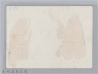 林保仁縣長主政照片-1藏品圖，第2張