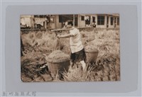 林保仁縣長主政照片-76藏品圖，第1張