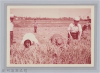 林保仁縣長主政照片-85藏品圖，第1張