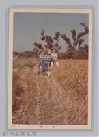 林保仁縣長主政照片-90藏品圖，第1張