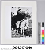 張采香照片-6藏品圖，第3張