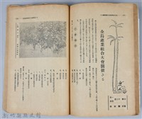 新竹州時報　第31號藏品圖，第69張