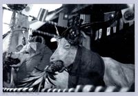 慶讚中元-新埔義民廟，祭拜牲儀藏品圖，第1張