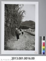 新竹鄉下─歸途（1950年）藏品圖，第3張