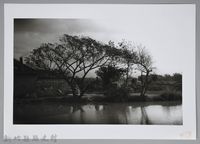 新竹鄉下─池畔（1950年）藏品圖，第1張