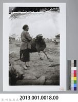 牛起番蠻（1940，新竹）藏品圖，第3張
