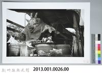 大豬公來了（1961，新竹新埔）藏品圖，第3張