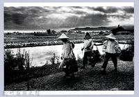 南埔田園（1967，北埔）藏品圖，第1張