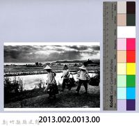 南埔田園（1967，北埔）藏品圖，第2張