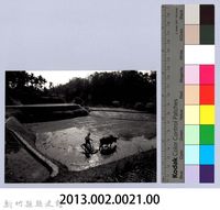 最後的耕牛（1999，北埔）藏品圖，第4張