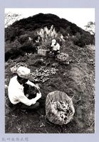 種薑人家（2002，北埔）藏品圖，第1張