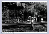 蔗擎（1967，橫山）藏品圖，第1張