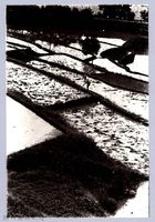 改田唇（1969，橫山）藏品圖，第1張