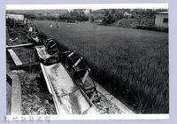 水車（2001，關西）藏品圖，第1張