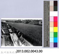 水車（2001，關西）藏品圖，第2張