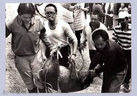 殺豬（2004，五峰）藏品圖，第1張