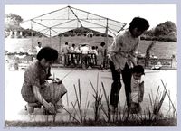 感念義民祭中元（1980，新埔）藏品圖，第1張