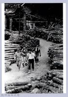 集材場（1985，五峰）藏品圖，第1張