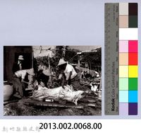 神豬（1988，南庄）藏品圖，第4張